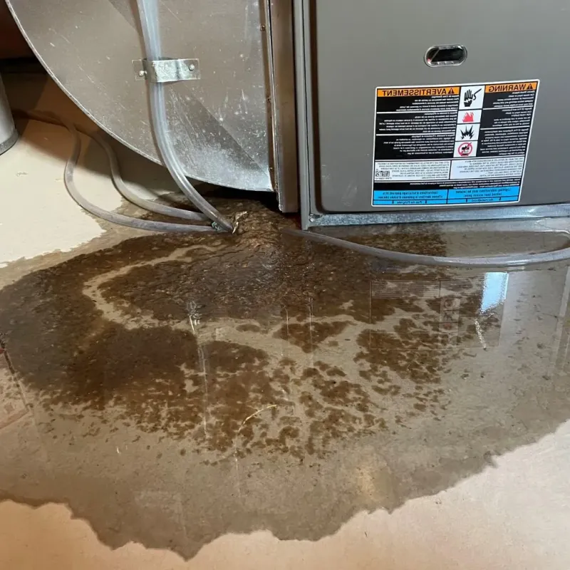 Pipe Burst and Leak Restoration in Patrick Springs, VA